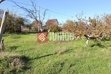 Ведение садоводства, 5 сот.