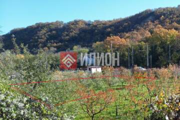 Ведение садоводства, 4,2 сот.