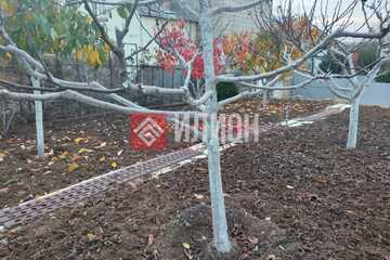 Ведение садоводства, 5 сот.