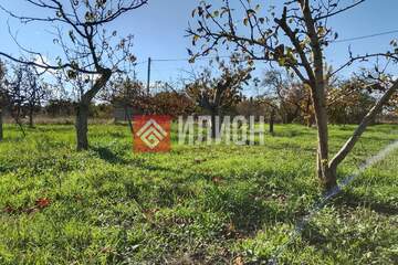 Ведение садоводства, 4,8 сот.