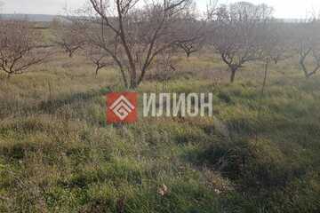 Ведение садоводства, 80 сот.