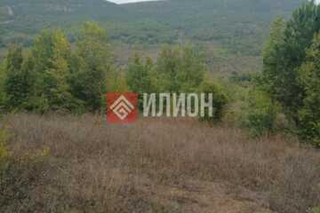 Ведение садоводства, 1,1 га