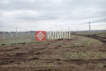 Ведение садоводства, 6 сот.