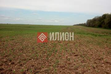 С/х использование, 12 га