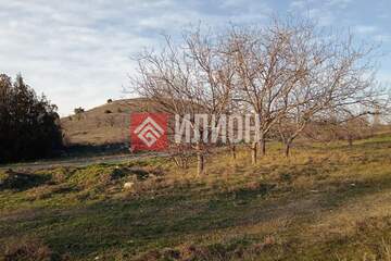 Ведение садоводства, 116 сот.