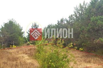 Ведение садоводства, 5,3 сот.