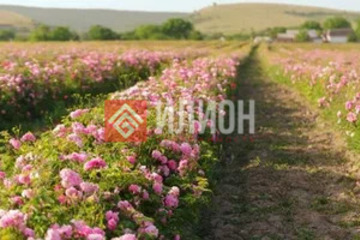 С/х использование, 1,3 га