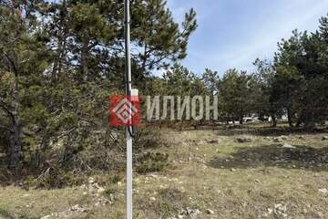 Ведение садоводства, 4 сот.