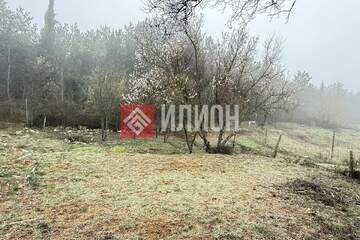 Ведение садоводства, 4,2 сот.