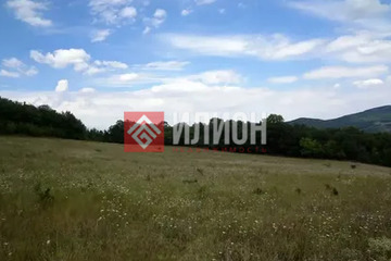 ЛПХ, 36,5 сот.