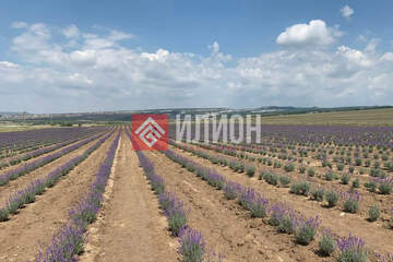 С/х использование, 5,9 га