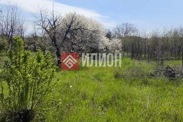 Ведение садоводства, 4,1 сот.