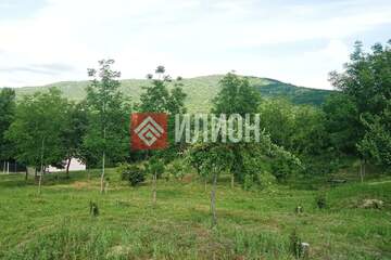 С/х использование, 116 сот.